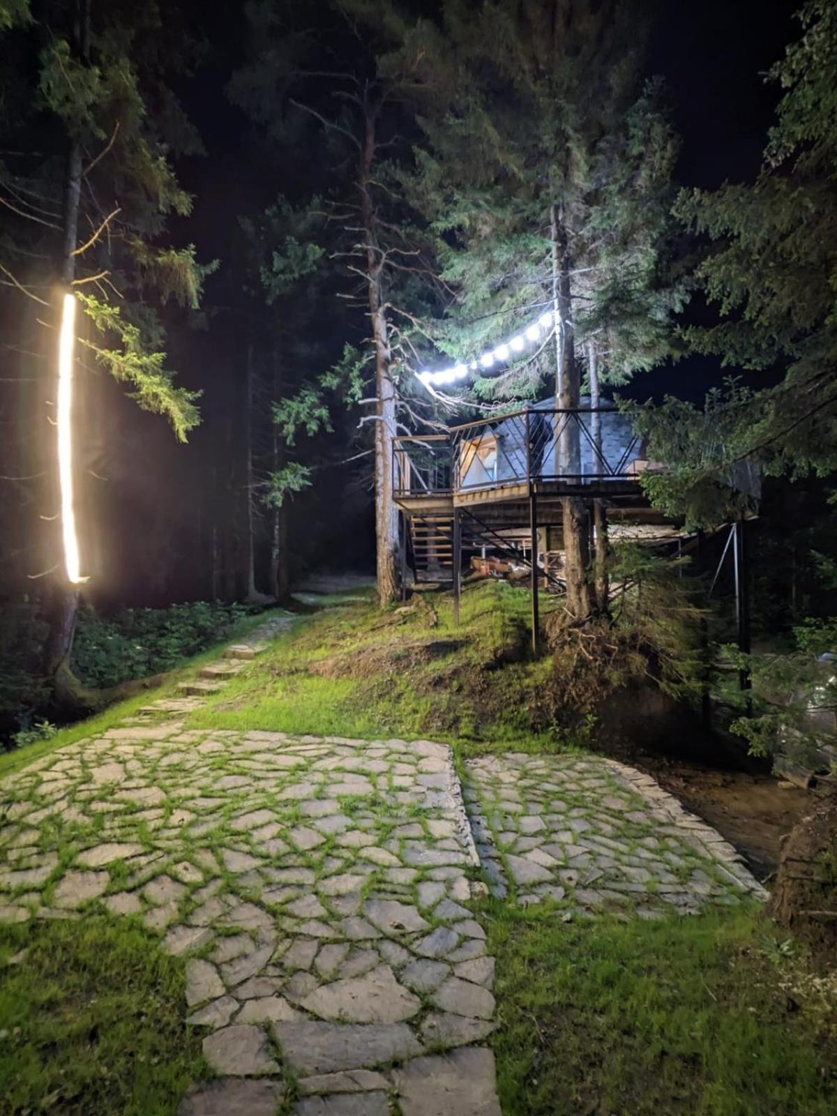 Seri K'eda المظهر الخارجي الصورة